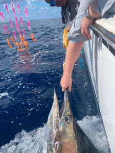 Quepos Costa Rica Fishing Reports, Calendars and Guide